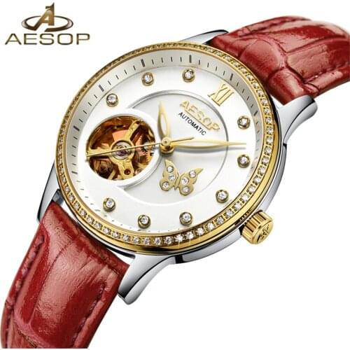 AESOP 2018 Ladies Diamond Display Women Top Brand Luxury Sapphire Simple Skeleton Transparent Case Automatic Mechanical Watches