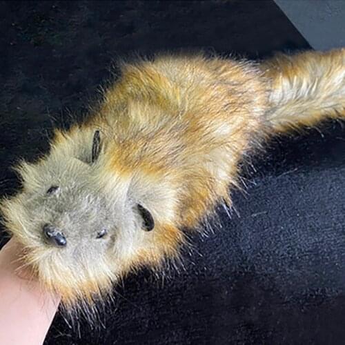 Deluxe The Rocky Raccoon Robbie Magic Tricks Spring Animal Toy Appearing Magia Stage Street Illusions Gimmicks Props Comedy