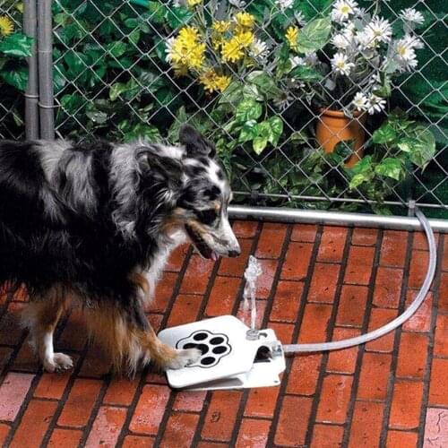 Dog Drinking Fountain Step-on Dog Water Drinking Stainless Steel Pet Dog Cat Water Fountain Fresh Water Fountain Tool with Hose