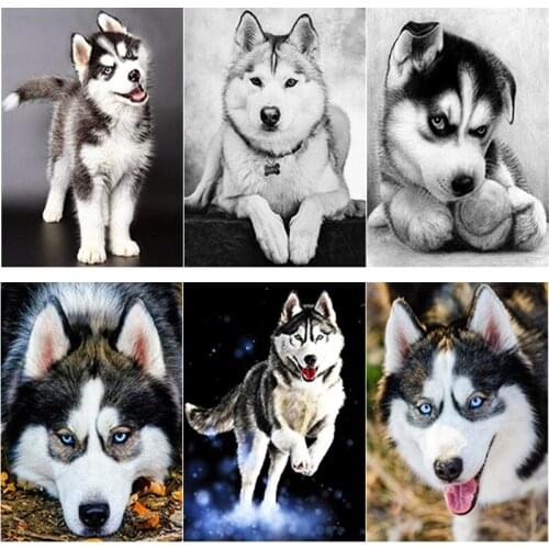 New 5D DIY Diamond Painting Animal Cross Stitch Husky Diamond Embroidery Full Square Round Drill Crafts Home Decor Manual Gift