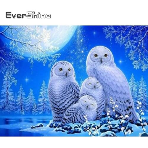 EverShine DIY 5D Diamond Embroidery Animals Mosaic Art Kits Diamond Painting Winter Owl Needlework Sale Rhinestone Pictures