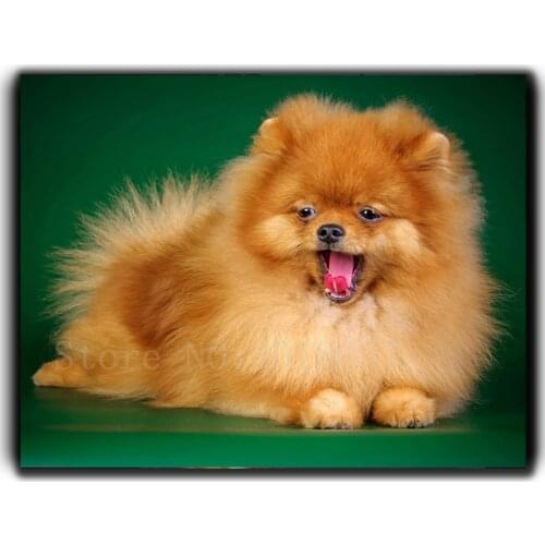 Diamond Mosaic Diy Diamond Embroidery Dog That Yawn To Sleep Full Diamond Painting Cross Stitch Rhinestone Home Decoration Kits