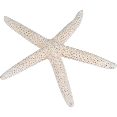 1 Piece 10-12cm Natural Material White Natural Finger Sea Star Wonderful Decorations Wedding Decor YH-460334