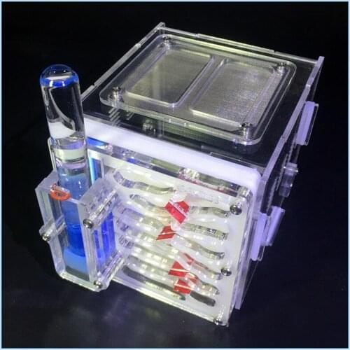 Украшения для животных ROUND YUAN China At AliExpress