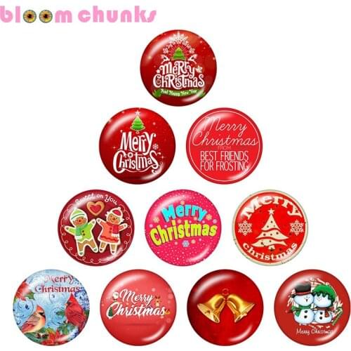 Christmas 10pcs mixed 12mm/18mm/20mm/25mm Round photo glass cabochon jewelry flat back Making findings A5999