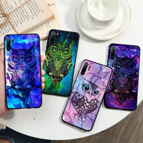 Cute Owl animal bird Phone Cases For Huawei P40 P20 P30 lite Pro P Smart 2019 Mate 40 20 10 Lite Pro Nova 5t
