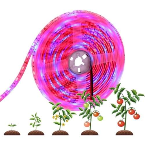 12V 1m 2m 3m 5m LED Grow Light IP65 Waterproof 60LED/m Full Spectrum Phyto Plant Tape Lamp for Indoor Flowers seed Hydroponic