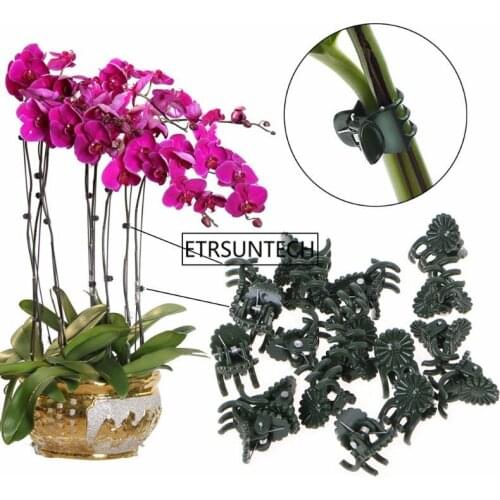 100Set Plastic Fix Clips Plant Orchid Stem Vine Support Vegetables Farm Flowers Fruit Tied Bundle Branch Clamping Gardening