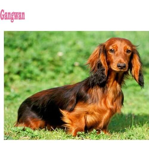 Full 5D Diy Daimond Painting Cross-stitch "Dachshund dog" 3D Diamond Mosaic square Round Rhinestones cute puppy Painting decor