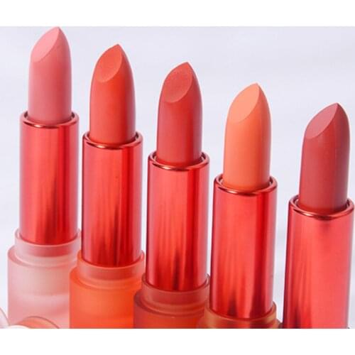 5 Color Matte Lipstick Velvet Lip Glaze Color Charm Lasting Non-fading Lip Make Up