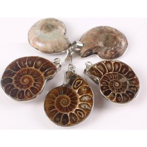 8pcs/lot Fashion Natural Stone Randomly Size Ammonite Snail Shell Fossils Pendants For Jewelry Accessories Making Free Shipping