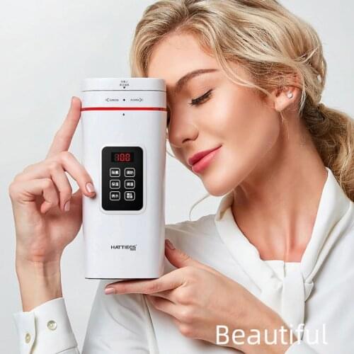 100-240V Automatic Electric Kettle Mini Portable Travel Heat Preservation Boiled Water Pot Adjustable Temperature Teapot 500ml