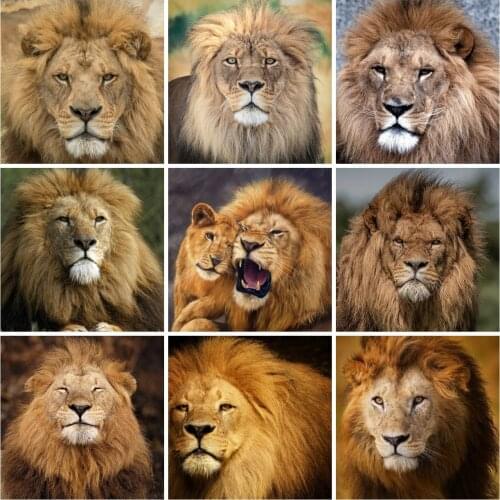 EverShine Diamond Painting Full Drill Animals Cross Stitch Diamond Embroidery Sale Lion Rhinestones Art Hobby Gift Wall Decor