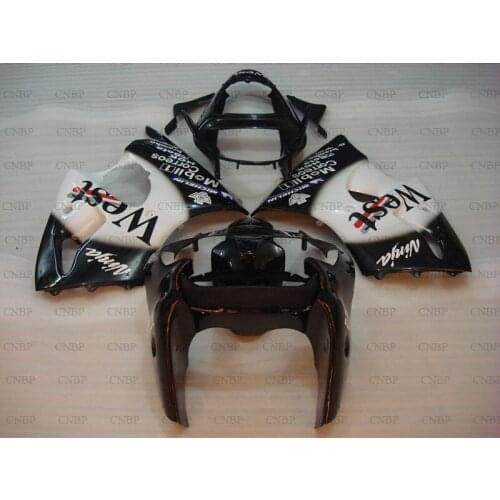 Plastic Fairings for Kawasaki ZX6r 2000 - 2002 Body Kits ZX6r 636 00 Plastic Fairings for Kawasaki ZX6r 02