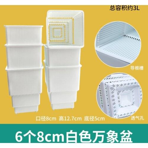 Twelve Volumes of Jade Dew Special Square Plastic Flowerpot for Raw Stone Flowers