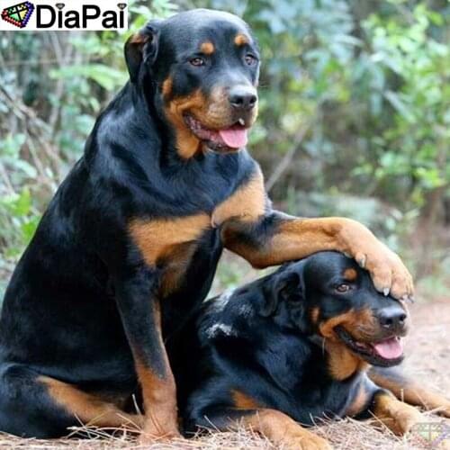 DIAPAI 5D Diamond Painting Full Square/Round "Animal dog" Picture Of Rhinestone DIY Diamond Embroidery Home Decor A25827