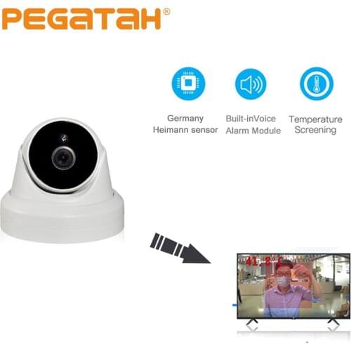 1080P Face Recognition camera Temperature Thermal Camera Access Control Camera Fever Detect Body Camera IR thermal Thermovisor