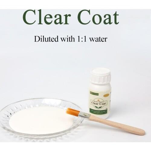 70ml(110ml) Concentrated Water-based Varnish To Protect Gold Foil Pale Pearl Powder Glitter