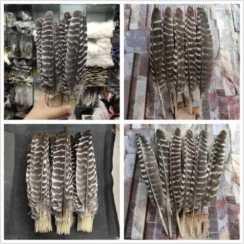 Wholesale Beautiful 100PCS Rare 10-14inches/25-35cm Natural Wild Turkey Tail Feathers For Wedding Christmas Decoration