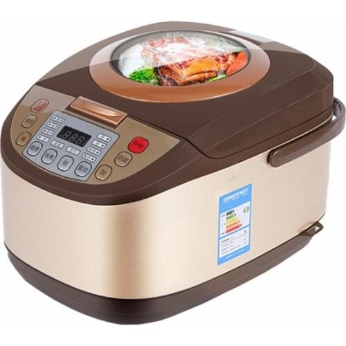 DMWD Transparent Lid 5L Home Intelligent Rice Cooker 220V 900W Multifunctional Electric Pot Yogurt Cake Machine 24H Appointment