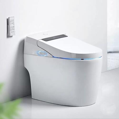 KASG KA918LD Multi Funtional Intelligent Toilet Containing Water Tnk all-in -one piece Toilet