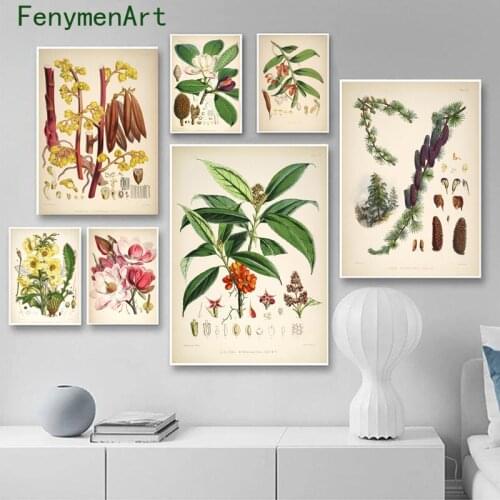 Vintage Wild Plant Canvas Painting Botanical Flower Study Posters Prints Nordic Wall Art Pictures Living Room Home Decor