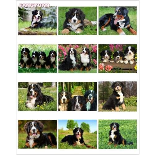 Animals Pets 5D Diy Diamond Painting Accessories Cute Dogs Full Drill Cross Stitch Kit Diamond Embroidery Mosaic Home Decor