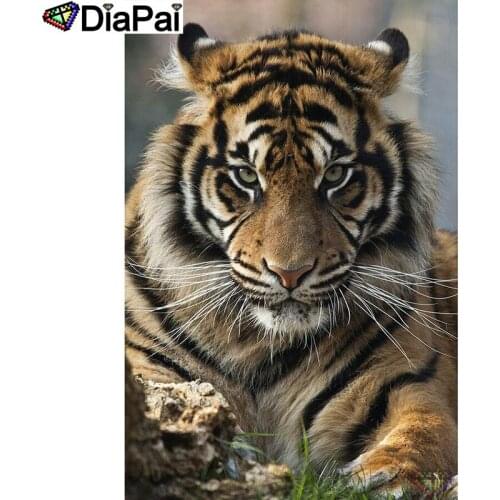 DIAPAI 100% Full Square/Round Drill 5D DIY Diamond Painting "Animal tiger" Diamond Embroidery Cross Stitch 3D Decor A20947