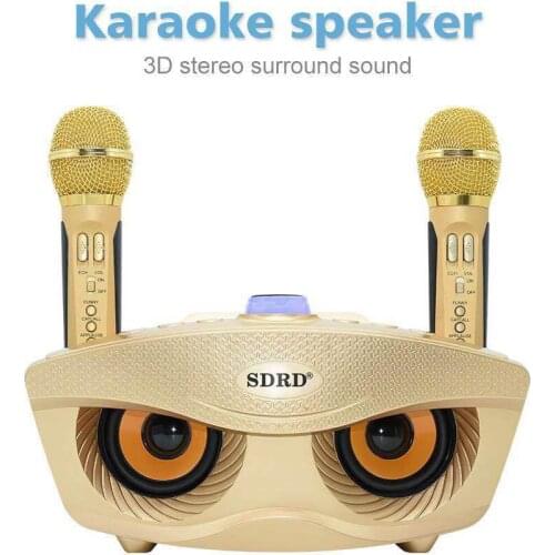 SD 306 Portable Family Karaoke System Two Wireless Microphones With 20w Stereo Bluetooth Speaker Condenser Karaoke Microphone