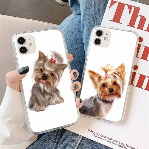 Yorkshire terrier dog Phone Case Transparent for iPhone 11 12 mini pro XS MAX 8 7 6 6S Plus X 5S SE 2020 XR