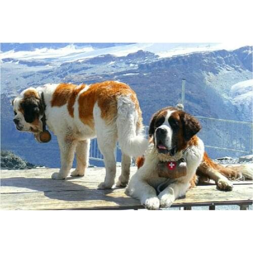 5D Diy Full Diamond Painting Cross Stitch kits Diamond Embroidery Animal dog Pictures Crystals square Diamond Mosaic pattern