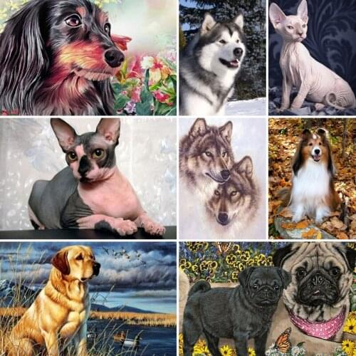 40x50x60x70 diamond painting 5D Full Square embroidery mosaic Cross Stitch animal Wolf dog cat DIY Wall Sticker home Decoration