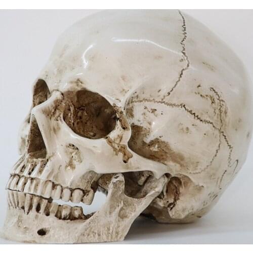 Skull Statues Sculptures Resin Witch Halloween Ornaments Figurines For Home Decoration Party Decor Craft Skull Model Replica