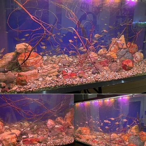 Decor aquarium fish tank driftwood aquarium Ecological rainforest banyan tree root branch landscape fine root decoration rattan