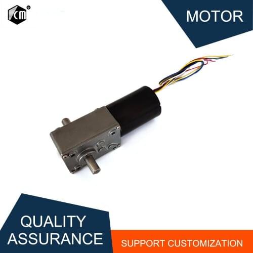 12V Double Shaft BLDC Motor 24V Worm Gear Motor Self-locking Gearbox Brake Motor High Torque Mini Turbo-Worm Reducer