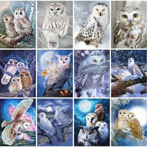 Diamond Painting Owl diamond mosaic diamond paint of Diamond Embroidery Beadwork 5D diamond painting kit Cross stitch kits