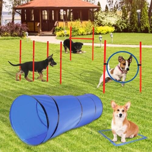 Dog Agility Equipment Obstacle Indoor Outdoor Tunnel Dog Agility Accessories Pet Training Equipment Pop Up Tunnel For Kids