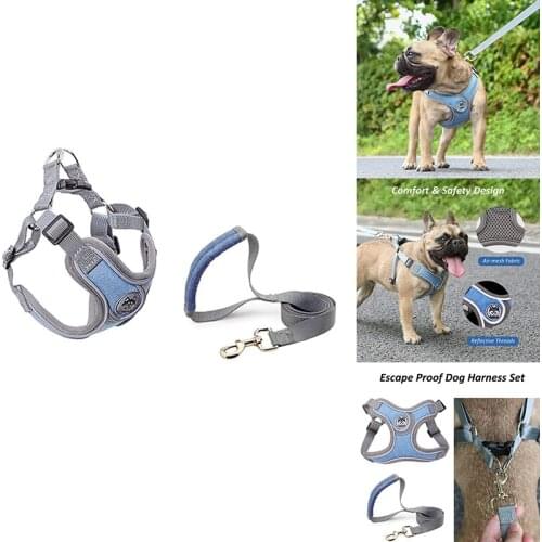 SUREPET Reflective Adjustable Vest Traction Belt for Dog Chest Harness for Small and Medium-Sized Dogs