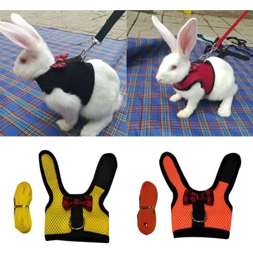 Cute Rabbits Hamster Vest Harness Bunny Mesh Chest Strap Harnesses Leash Ferret Guinea Pig Small Animals Pets Accessories