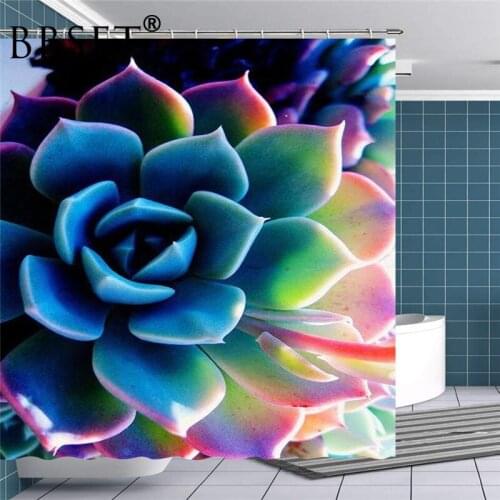 Desert Plants Shower Curtain A Beautiful Succulent Pattern Waterproof Multi-size Douchegordijn Bathroom Decor with 12 Hooks