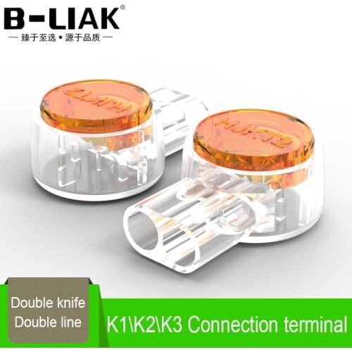 B-LIAK 100PCS Rj45 Connector Crimp Connection TerminalsK1/ K2/K3/ Connector Waterproof Connectors K2 Network Cable Terminals