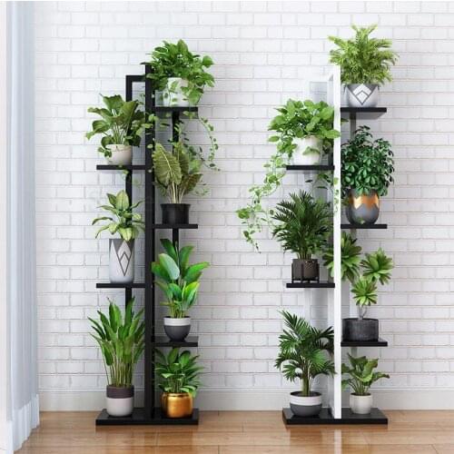 Indoor Green Dill Hanging Orchid Shelf Living Room Bedroom Flower Stand Multilayer Special Iron Balcony Flower Stand Rack
