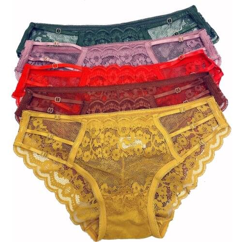Large Size Sexy Transparent Lace Womens Underwear Mid Waist Hollow Out Breathable Panties Seamless Briefs Underpants
