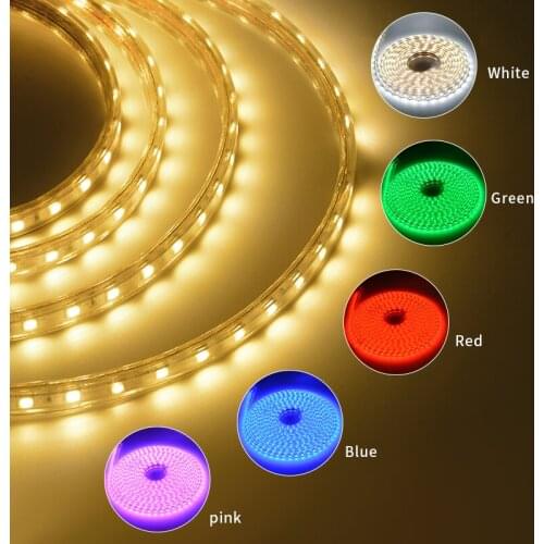 Super Brightness Flexible LED Strip 2835 SMD Indoor Outdoor Lighting Room Decoration Lamp With AV220V EU Plug 110V US Plug