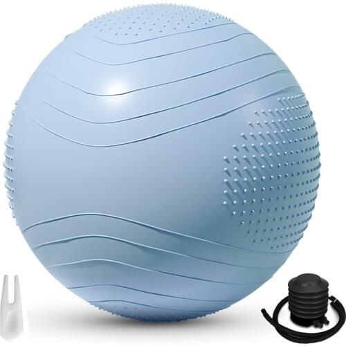 Yoga Ball Thick & Anti Burst Fitness Ball Slip Resistant Pilates Exercise Ball Stability Ball for Balance Exercise Yoga Training