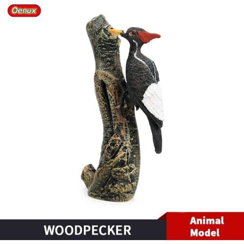 Oenux Original Bird Animals Woodpecker Simulation Picidae Action Figures Model Miniature Figurine Educational Toy For Kids Gift