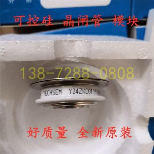 TECHSEM Y24ZKC/ZK200A SCR 100% new and original Thyristor module