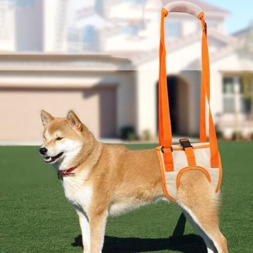 Dog Portable Auxiliary Belt Leg Auxiliary Postoperative Rehabilitation Belt Recovery Disability Leg Brace Help Walking Harness