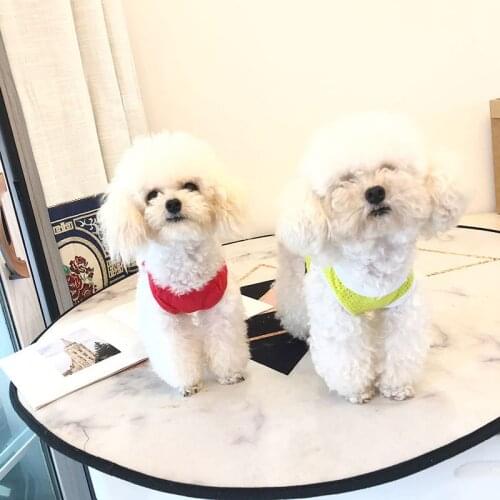 Cat Vest Dog Clothes Summer Pet Puppy Apparel Small Dog Costumes Yorkshire Yorkies Pomeranian Shih Tzu Poodle Bichon Clothing S