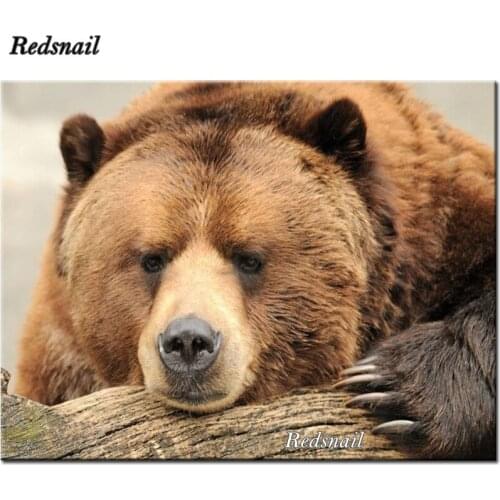 5D full diamond embroidery kit pattern diamond painting mosaic picture of rhinestones Cartoon bears Home Decoration EE461